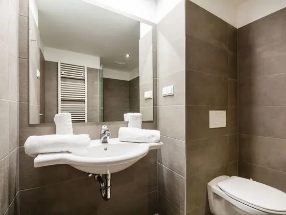 Alluring Apartment in Kleinarl With Ski-storage, Parking & Garden - Banyo Tipleri