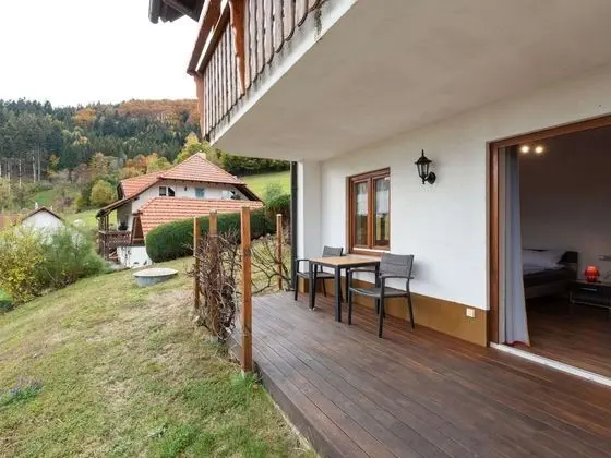 Alluring Apartment in Kleines Wiesental - Raich With BBQ - Dış Mekan