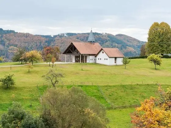 Alluring Apartment in Kleines Wiesental - Raich With BBQ - 1