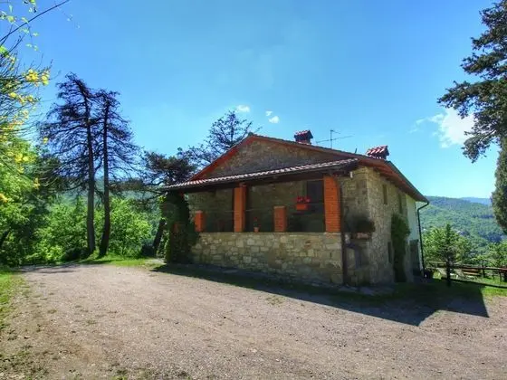 Alluring Farmhouse in Ortignano With Swimming Pool - Dış Mekan