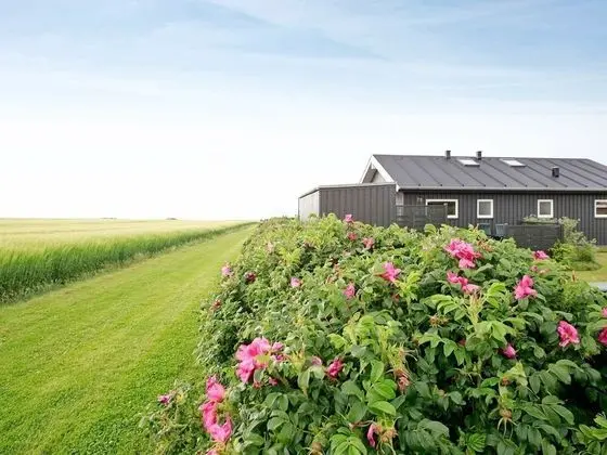 Alluring Holiday Home in Bogense Denmark With Sauna
