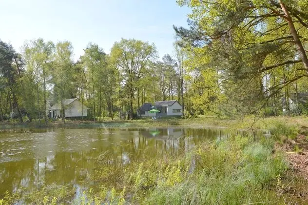 Alluring Holiday Home in Limburg near Forest - Dış Mekan