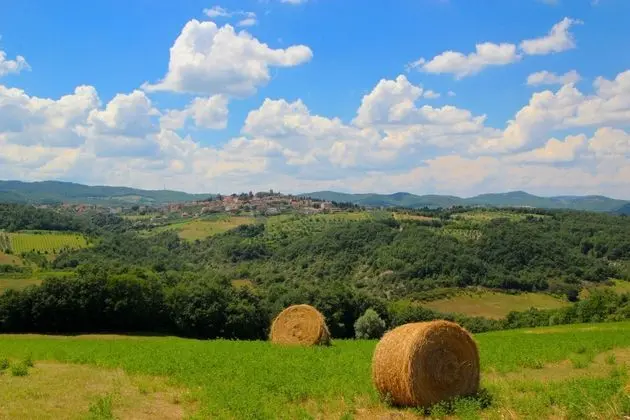 Alluring Villa in San Venanzo With Sauna - Genel