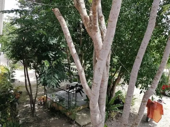 Almira Diving Resort - Öne Çıkan Resim