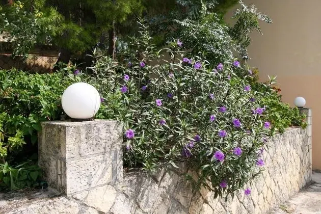 Almyros Studios & Apartments - Dış Mekan