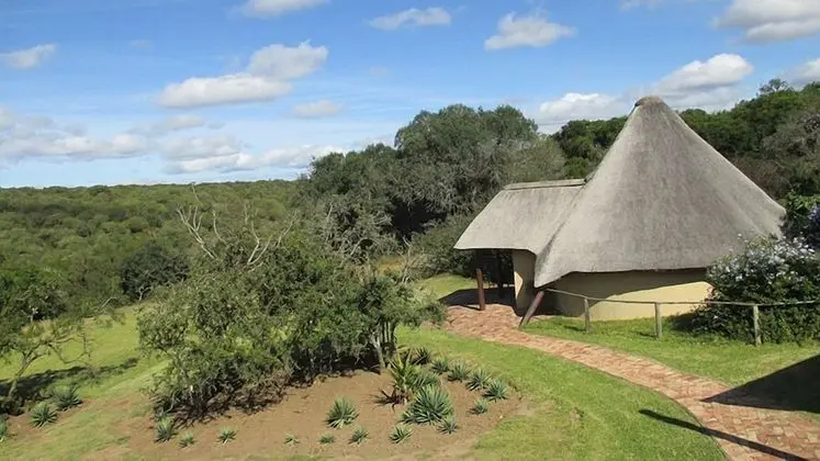 Aloe and Elephant Lodge
