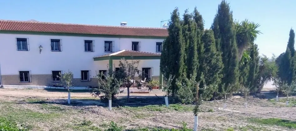 Alojamiento Rural El Oregano - 1