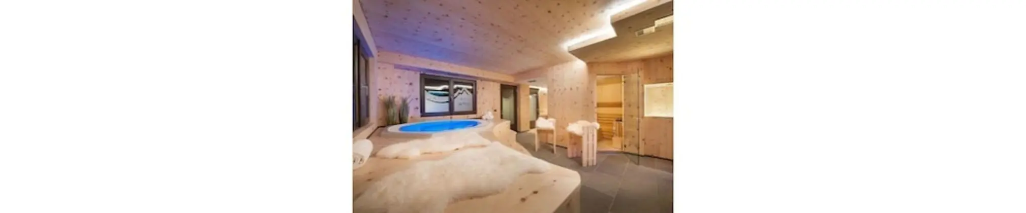 Alpen Hotel Chalet - Valdidentro - Havuz