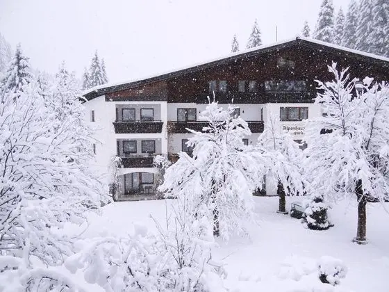 Hotel Alpenhaus Evianquelle