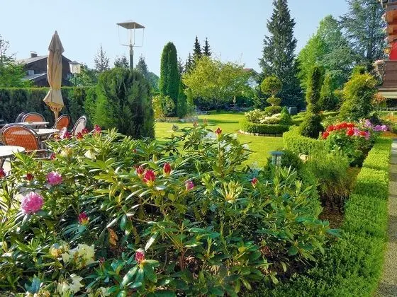 Hotel Alpenhof - Dış Mekan