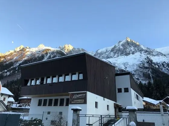 Alpenrose - Öne Çıkan Resim