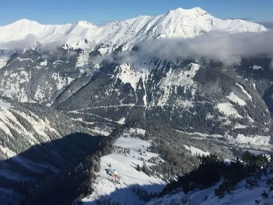 Alpenstern Lermoos