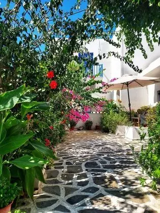Alpha Studios - Dış Mekan