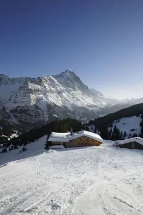 Alpinhotel Bort - Dış Mekan