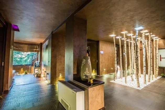 Alpin Resort Hotel - Spa
