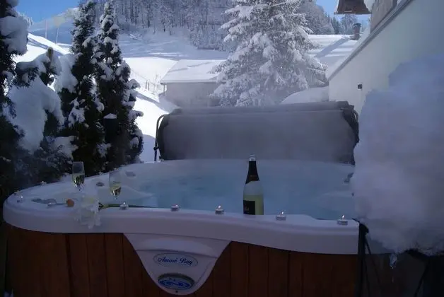 Alpina Appartements - Havuz