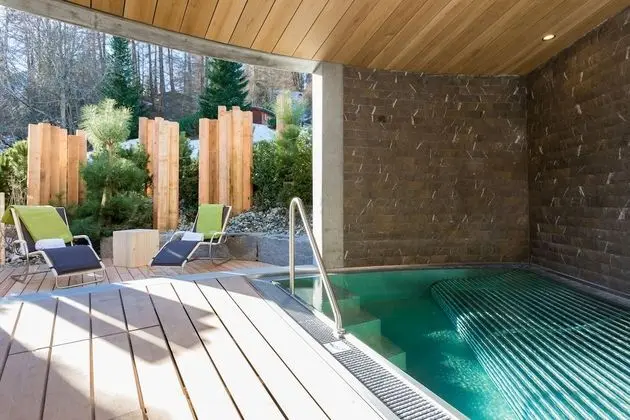 The Alpina Mountain Resort - Havuz