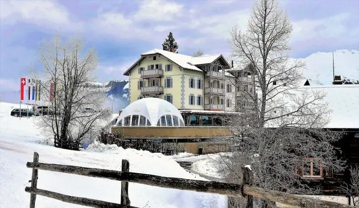 The Alpina Mountain Resort - 1
