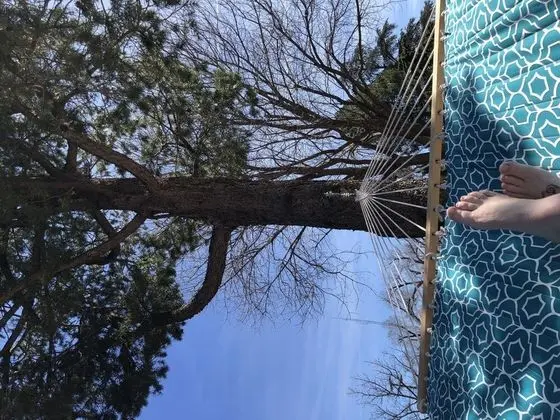 Alpine Bed and Breakfast - Dış Mekan