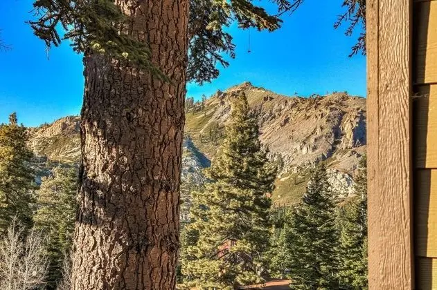 Alpine Meadows Peak - Dış Mekan