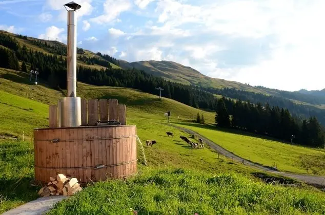 Alpine Premium Chalet Wallegg-Lodge - Dış Mekan