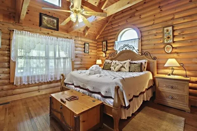 Alpine Ski Lodge - Oda