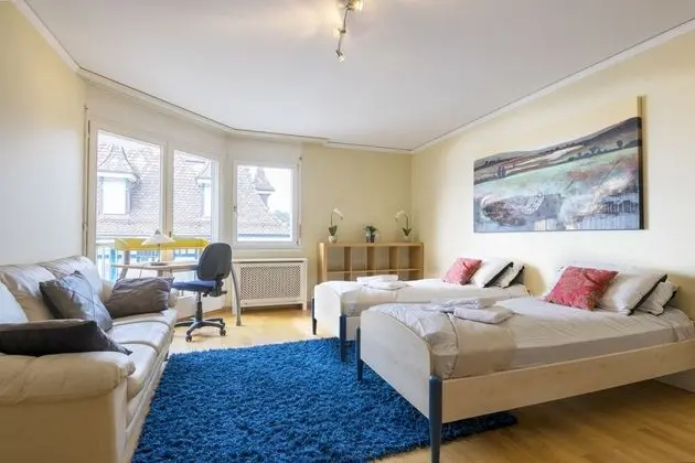 Alpine Stunning Apartment in Montreux - İç Mekan