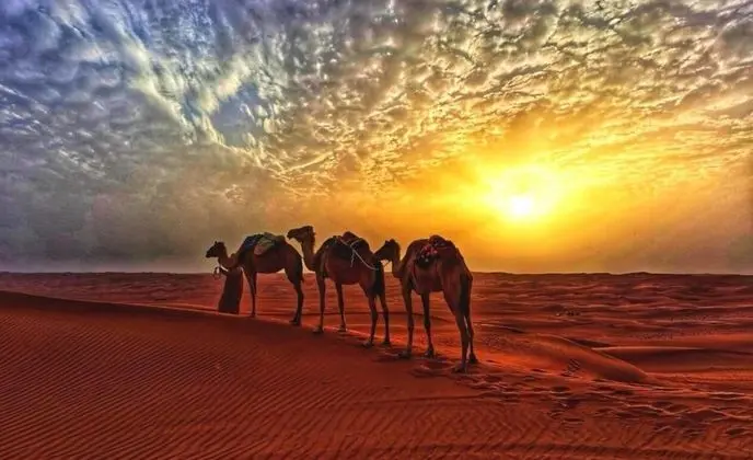Alsarmadi Desert Camp - Genel