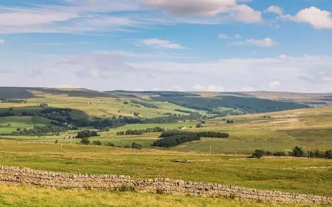 Alston House Hotel - Genel