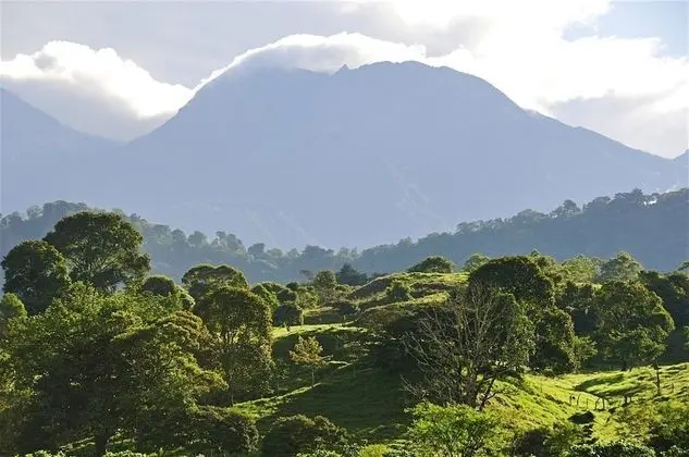 Hotel Alta Vista