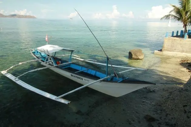Altamare Dive and Leisure Resort Anilao - Plaj