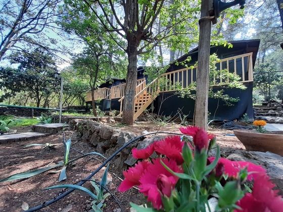 Altaris Bungalows OlymposFotoğrafı