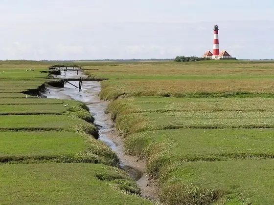 Alte Schule Westerhever - Dış Mekan