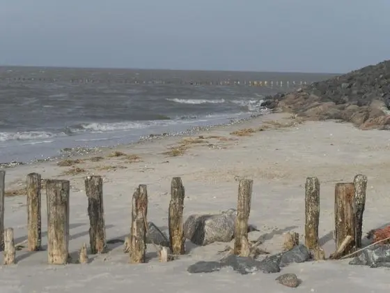 Alte Schule Westerhever - Plaj