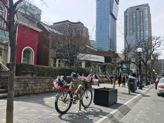 Altitude Suites Bellamond Yorkville - Dış Mekan