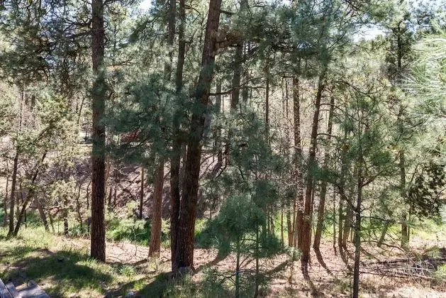 Alto Pines - Dış Mekan