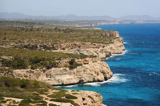 Alua Calas de Mallorca Resort - Dış Mekan