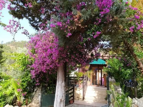 Alya Hotel Gocek - Dış Mekan