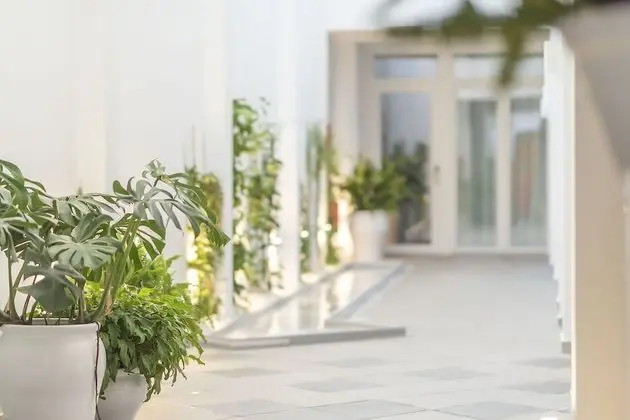 Alzocaire Hostal Boutique - Dış Mekan