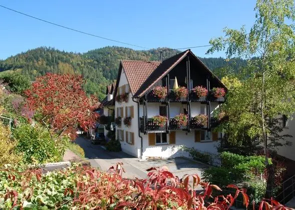 Hotel am Mühlbach - 1