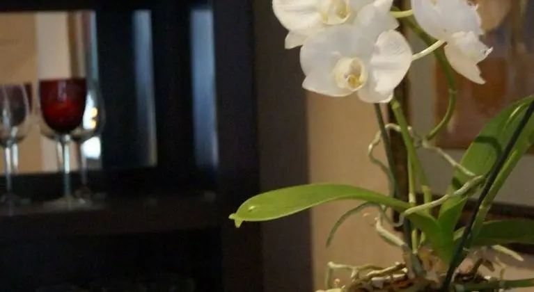 Hotel Am Mühlenteich