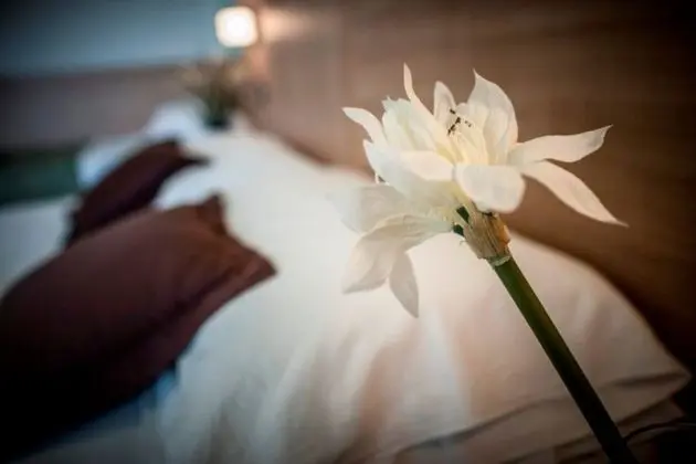 Hotel Amalfi riccione - Oda