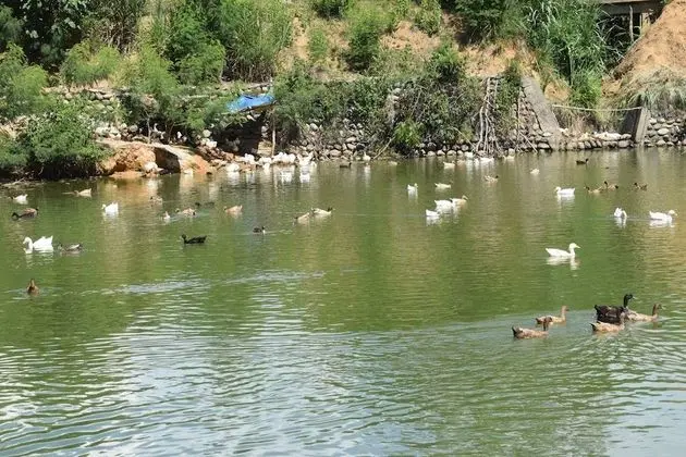 Amancio Farm Hotel - Dış Mekanlar