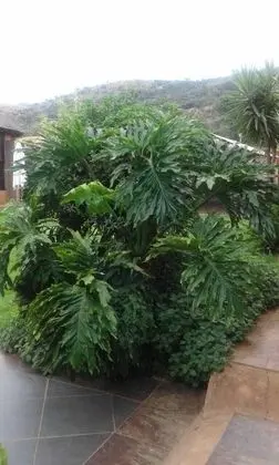 Amandahill Guest House - Dış Mekan