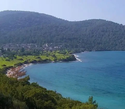 Amanruya