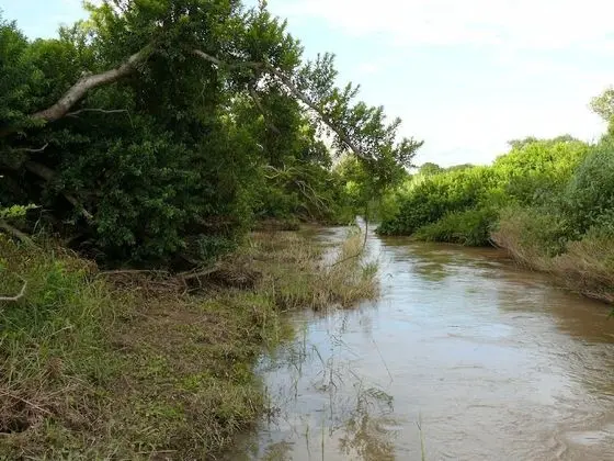 Amanzimloti Riverside Bush Camp - Dış Mekan