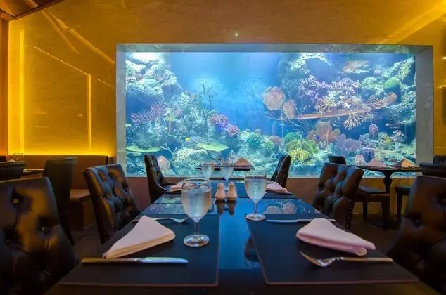 Amaranta Hotel - Yeme / İçme