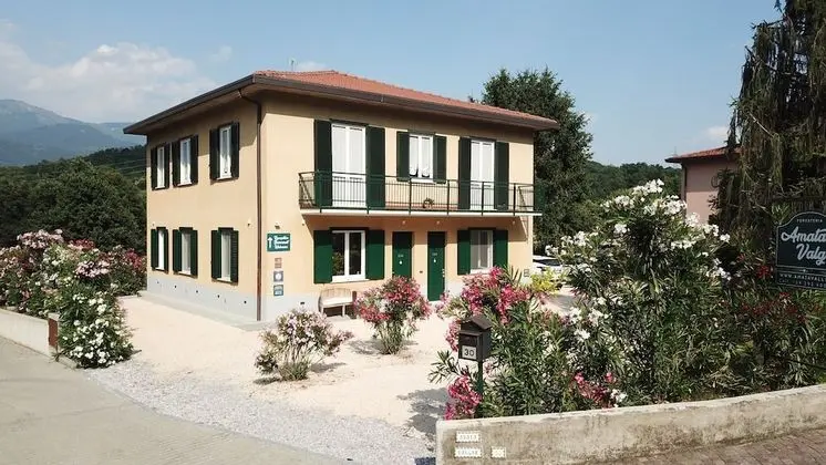 Amata Valgre - 1