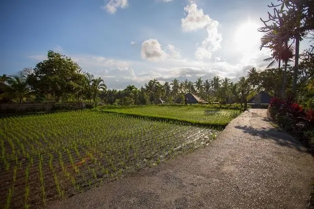 Amatara Agung Raka - CHSE Certified - Dış Mekan