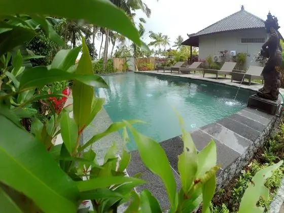 Amaya Cottage Ubud - Havuz